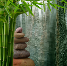 Bamboo and Rocks